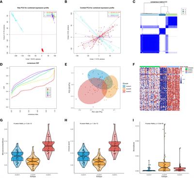 Distinct molecular subtypes of systemic sclerosis and gene signature with diagnostic capability